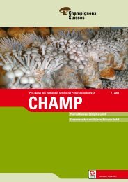 Champ_2008_2 - Champignon Suisse