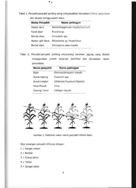 PROGRAM INSENTIF RlSET TERAPAN - KM Ristek