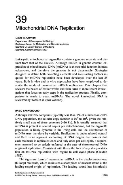 Chapter 39: Mitochondrial DNA Replication (PDF)