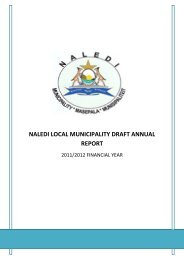 FS164 Naledi Annual Report 2011-12 - MFMA - National Treasury