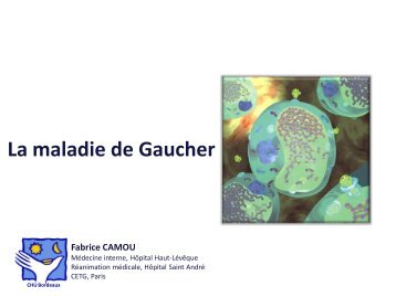 La maladie de Gaucher - Dr Camou - 2011 - UMFCS Bordeaux ...