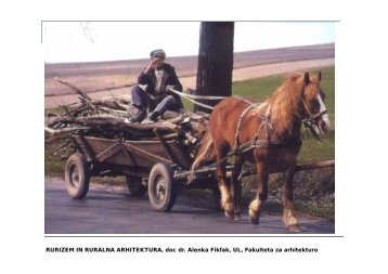 RURIZEM IN RURALNA ARHITEKTURA, doc dr. Alenka Fikfak, UL ...