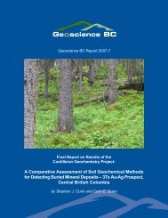 Report - Geoscience BC