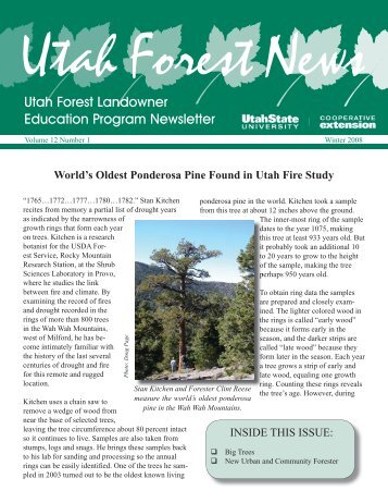 World's Oldest Ponderosa Pine Found in Utah Fire - Forestry - Utah ...