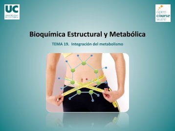 Tema 19. Integracion del metabolismo