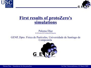 First results of protoZero's simulations - Universidade de Santiago ...