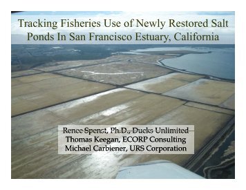 Tracking Fisheries Use of Newly Restored Salt Ponds In San ...