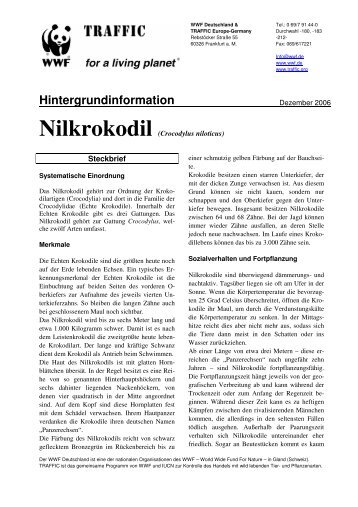 Nilkrokodil - WWF Arten AZ - WWF Deutschland