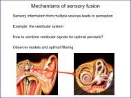 Mechanisms of sensory fusion