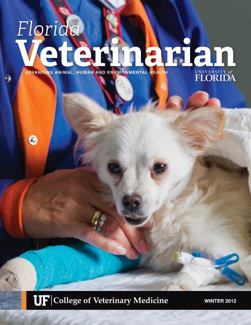 Florida Veterinarian, Winter 2012 (PDF) - University of Florida ...