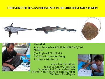chondrichthyans biodiversity in the southeast asian ... - seafdec.org.my