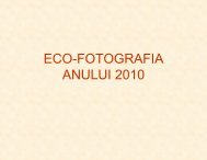 ECO-FOTOGRAFIA ANULUI 2010