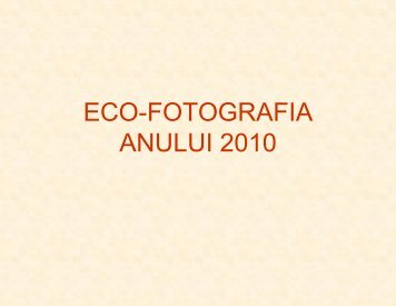 ECO-FOTOGRAFIA ANULUI 2010