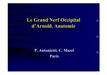Anatomie du grand nerf occipital - sofmmoo