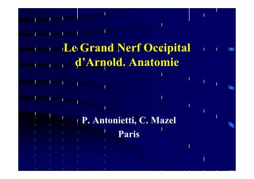 Anatomie du grand nerf occipital - sofmmoo