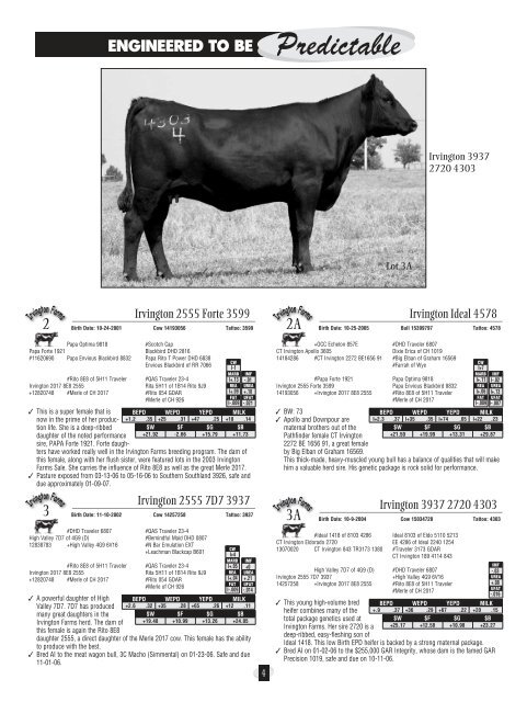 Irvington Farms Inc. - Angus Journal