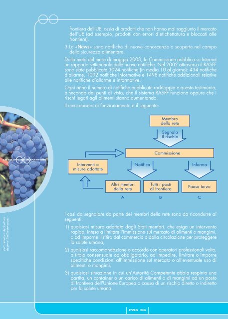 Guida sulla Sicurezza Alimentare - CISE