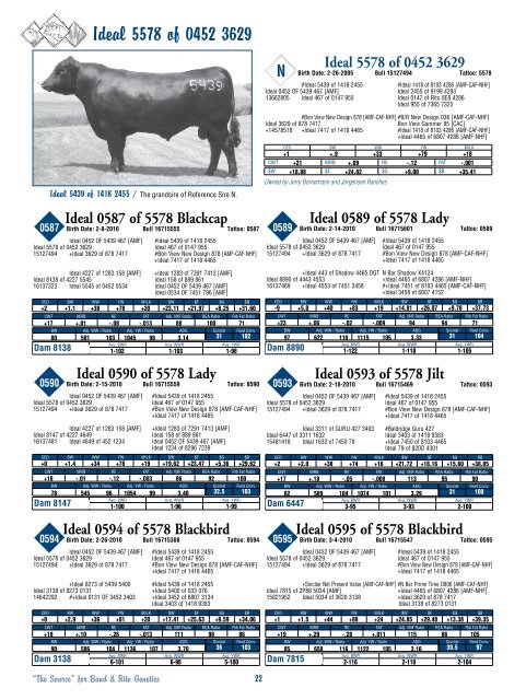 Jorgensen Land & Cattle - Angus Journal