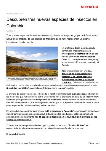 Descubren tres nuevas especies de insectos en Colombia - Noticias ...