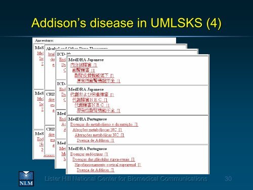 UMLS: The Graph Behind the Forest - Medical Ontology Research