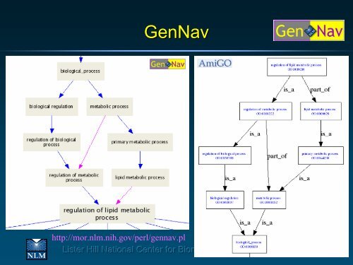 UMLS: The Graph Behind the Forest - Medical Ontology Research