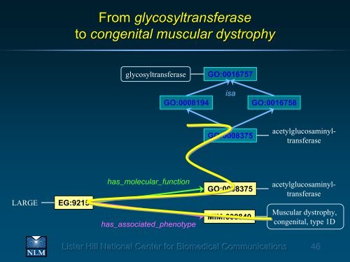 UMLS: The Graph Behind the Forest - Medical Ontology Research