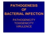 PATHOGENESIS OF BACTERIAL INFECTION