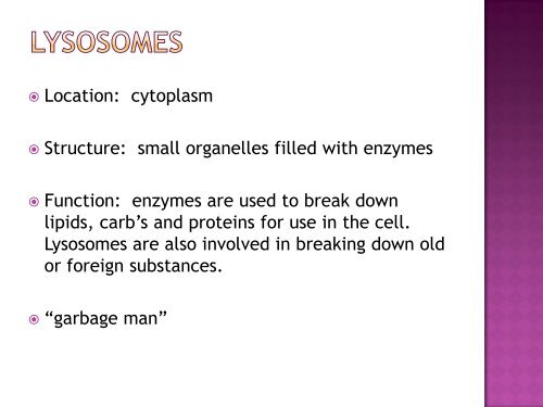 Ch. 7 Cell Organelles, Structure and Function