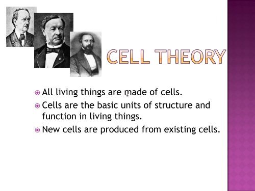 Ch. 7 Cell Organelles, Structure and Function