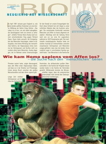 Wie kam Homo sapiens vom Affen los? 1 - Scinexx