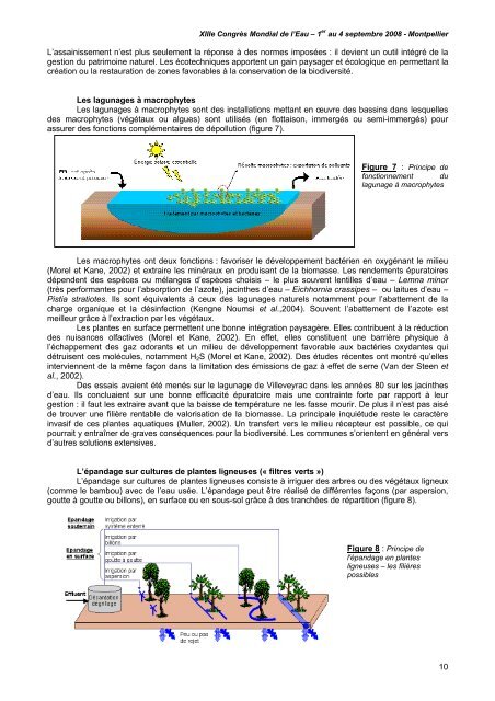 ecotechniques d'assainissement des eaux usees domestiques - IWRA