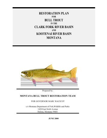 restoration plan bull trout clark fork river basin kootenai ... - KrisWeb