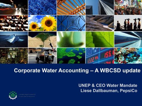 Liese Dallbauman - CEO Water Mandate