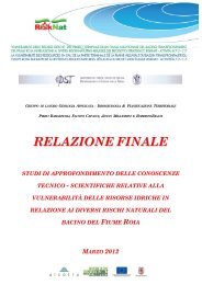 RELAZIONE FINALE - RiskNat