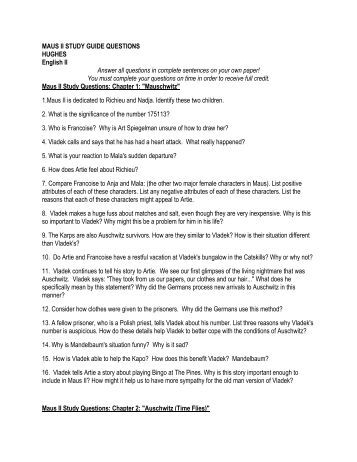 Essay on maus i and ii