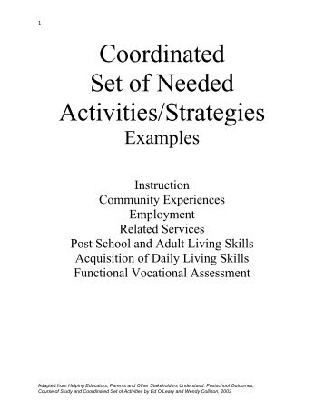 Coordinated Set of Needed Activities/Strategies Examples