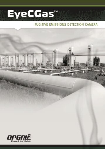 EYECGAS Brochure (PDF) - Hetek Solutions Inc.