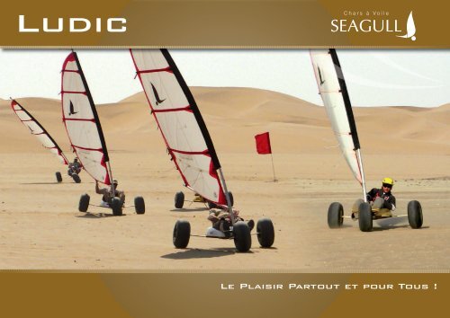 fiche produit LUDIC - Seagull