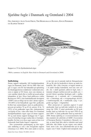 SjÃ¦ldne fugle i Danmark og GrÃ¸nland i 2004 - Zoologisk Museum
