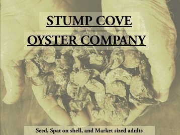 Stump Cove Oyster Company, Maryland