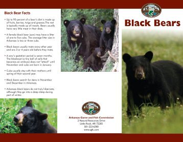Black Bears - Arkansas Game and Fish Commission