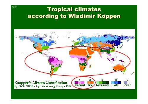 Introduction to tropical ecology