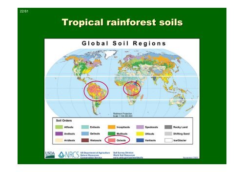 Introduction to tropical ecology