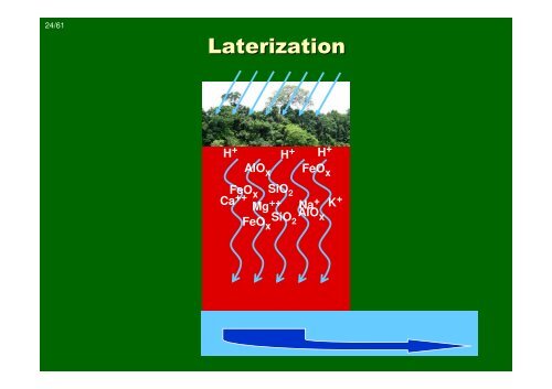 Introduction to tropical ecology