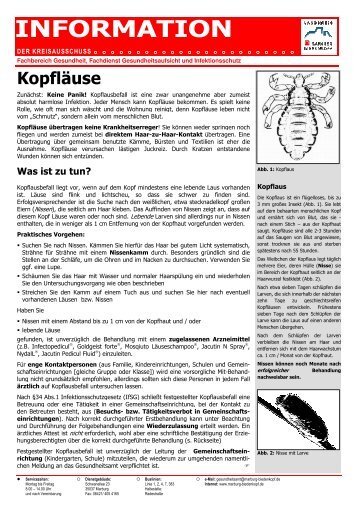 Informationsblatt LÃ¤use - Marburger Waldkindergarten