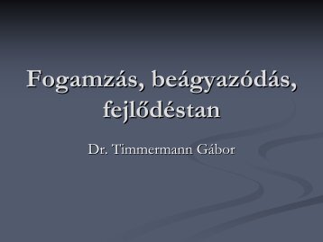 FogamzÃ¡s, beÃ¡gyazÃ³dÃ¡s, fejlÅdÃ©stan - Dr. Timmermann GÃ¡bor