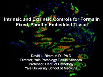 Intrinsic and Extrinsic Controls for FFPE Tissue - Office of ...