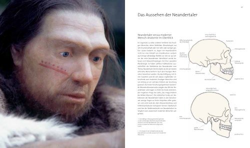 Die Entstehung der Neandertaler