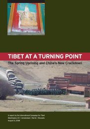 download the report - International Campaign for Tibet