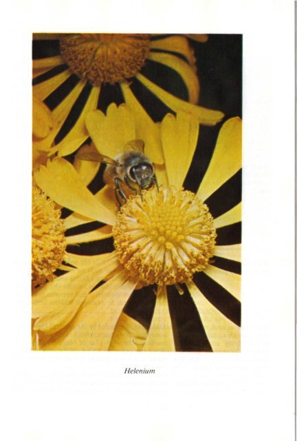 At the Hive Entrance.pdf - BioBees